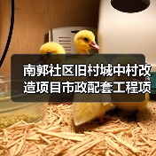 南郭社区旧村城中村改造项目市政配套工程项目项目招标公告(图4) 南郭社区旧村城中村改造项目市政配套工程项目项目招标公告(图4)