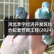 河北丰宁经济开发区综合配套管网工程(2024)工程总承包(EPC)招标公告(图4) 河北丰宁经济开发区综合配套管网工程(2024)工程总承包(EPC)招标公告(图4)