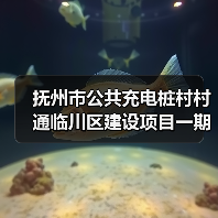 抚州市公共充电桩村村通临川区建设项目一期招标采购公告（图1）