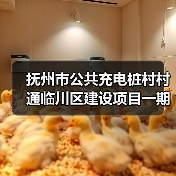 抚州市公共充电桩村村通临川区建设项目一期招标采购公告（图3）