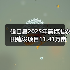磴口县2025年高标准农田建设项目11.41万亩（第二批）施工第十标段至第十四标段招标公告（图4）