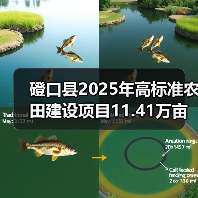 磴口县2025年高标准农田建设项目11.41万亩（第二批）施工第十标段至第十四标段招标公告（图2）