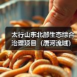 太行山东北部生态综合治理项目（唐河流域）（2025 年度）施工 （一至四标段）招标公告（图2）