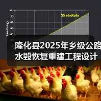 隆化县2025年乡级公路水毁恢复重建工程设计施工总承包（图1）