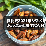 隆化县2025年乡级公路水毁恢复重建工程设计施工总承包（图4）