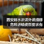 西安排水淤泥外运招标:危险运输资质要求有哪些?(图1) 西安排水淤泥外运招标:危险运输资质要求有哪些?(图1)