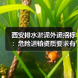 西安排水淤泥外运招标:危险运输资质要求有哪些?(图4) 西安排水淤泥外运招标:危险运输资质要求有哪些?(图4)