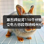 第五师双河110千伏输变电五标段导地线光缆招标公告发布(图2) 第五师双河110千伏输变电五标段导地线光缆招标公告发布(图2)