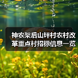 神农架后山坪村农村改革重点村招标信息一览(图4) 神农架后山坪村农村改革重点村招标信息一览(图4)