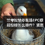 兰考智慧停车场EPC标段投标怎么操作?资质要求全解析(图2) 兰考智慧停车场EPC标段投标怎么操作?资质要求全解析(图2)