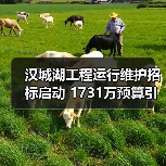 汉城湖工程运行维护招标启动 1731万预算引关注(图1) 汉城湖工程运行维护招标启动 1731万预算引关注(图1)