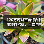 120万吨磷石膏综合利用项目招标：土建电气设备采购全解析（图3）