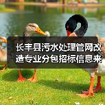 长丰县污水处理管网改造专业分包招标信息来了！（图2）