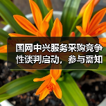 国网中兴服务采购竞争性谈判启动,参与需知全解析(图1) 国网中兴服务采购竞争性谈判启动,参与需知全解析(图1)