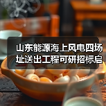 山东能源海上风电四场址送出工程可研招标启动(图4) 山东能源海上风电四场址送出工程可研招标启动(图4)