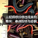 三起招标投标违规案例曝光:串通投标与虚假材料如何影响公平竞争?(图3) 三起招标投标违规案例曝光:串通投标与虚假材料如何影响公平竞争?(图3)