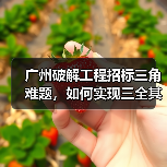 广州破解工程招标三角难题,如何实现三全其美?(图2) 广州破解工程招标三角难题,如何实现三全其美?(图2)