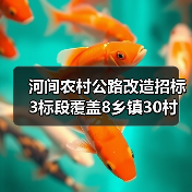 河间农村公路改造招标3标段覆盖8乡镇30村(图2) 河间农村公路改造招标3标段覆盖8乡镇30村(图2)