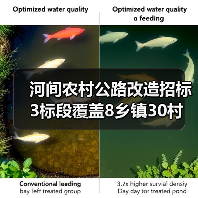 河间农村公路改造招标3标段覆盖8乡镇30村(图4) 河间农村公路改造招标3标段覆盖8乡镇30村(图4)