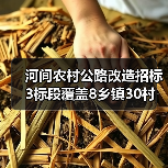 河间农村公路改造招标3标段覆盖8乡镇30村(图3) 河间农村公路改造招标3标段覆盖8乡镇30村(图3)