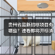 贵州省最新招标项目有哪些?速看即将开标清单(图2) 贵州省最新招标项目有哪些?速看即将开标清单(图2)
