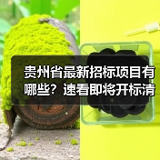 贵州省最新招标项目有哪些?速看即将开标清单(图1) 贵州省最新招标项目有哪些?速看即将开标清单(图1)