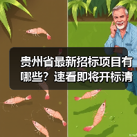 贵州省最新招标项目有哪些?速看即将开标清单(图4) 贵州省最新招标项目有哪些?速看即将开标清单(图4)