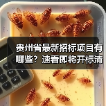 贵州省最新招标项目有哪些?速看即将开标清单(图3) 贵州省最新招标项目有哪些?速看即将开标清单(图3)