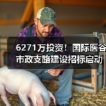 6271万投资！国际医谷市政支路建设招标启动（图2）