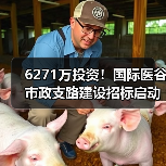 6271万投资！国际医谷市政支路建设招标启动（图1）