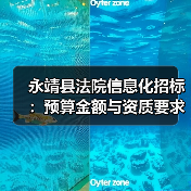 永靖县法院信息化招标:预算金额与资质要求深度解析(图3) 永靖县法院信息化招标:预算金额与资质要求深度解析(图3)