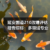 延安国道210改建评估报告招标:多领域专业评估服务需求发布(图2) 延安国道210改建评估报告招标:多领域专业评估服务需求发布(图2)