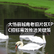 大悟县城南老旧片区EPC招标高效推进关键策略解析(图1) 大悟县城南老旧片区EPC招标高效推进关键策略解析(图1)