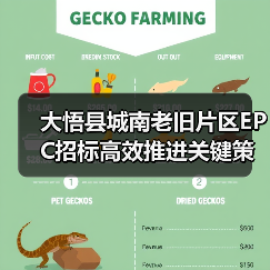 大悟县城南老旧片区EPC招标高效推进关键策略解析(图3) 大悟县城南老旧片区EPC招标高效推进关键策略解析(图3)