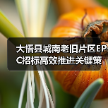 大悟县城南老旧片区EPC招标高效推进关键策略解析(图4) 大悟县城南老旧片区EPC招标高效推进关键策略解析(图4)