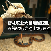 智慧农业大棚远程控制系统招标启动 招标要点全面解析(图4) 智慧农业大棚远程控制系统招标启动 招标要点全面解析(图4)