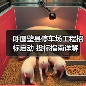 呼图壁县停车场工程招标启动 投标指南详解(图1) 呼图壁县停车场工程招标启动 投标指南详解(图1)