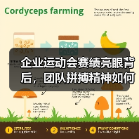 企业运动会赛绩亮眼背后,团队拼搏精神如何引发热议?(图1) 企业运动会赛绩亮眼背后,团队拼搏精神如何引发热议?(图1)