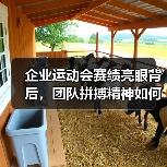 企业运动会赛绩亮眼背后,团队拼搏精神如何引发热议?(图3) 企业运动会赛绩亮眼背后,团队拼搏精神如何引发热议?(图3)