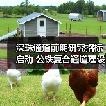 深珠通道前期研究招标启动 公铁复合通道建设方案待定(图4) 深珠通道前期研究招标启动 公铁复合通道建设方案待定(图4)