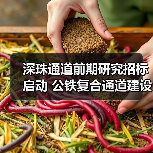 深珠通道前期研究招标启动 公铁复合通道建设方案待定(图3) 深珠通道前期研究招标启动 公铁复合通道建设方案待定(图3)