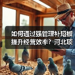 如何通过强管理补短板提升经营效率?河北项目部党支部召开专题研讨(图2) 如何通过强管理补短板提升经营效率?河北项目部党支部召开专题研讨(图2)