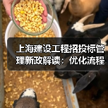 上海建设工程招投标管理新政解读：优化流程提升市场公平性（图3）