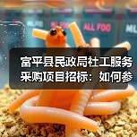富平县民政局社工服务采购项目招标:如何参与?(图1) 富平县民政局社工服务采购项目招标:如何参与?(图1)