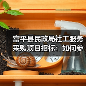 富平县民政局社工服务采购项目招标:如何参与?(图4) 富平县民政局社工服务采购项目招标:如何参与?(图4)