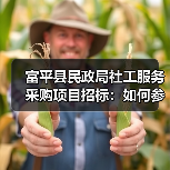富平县民政局社工服务采购项目招标:如何参与?(图3) 富平县民政局社工服务采购项目招标:如何参与?(图3)