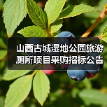 山西古城湿地公园旅游厕所项目采购招标公告(图3) 山西古城湿地公园旅游厕所项目采购招标公告(图3)