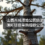 山西古城湿地公园旅游厕所项目采购招标公告(图4) 山西古城湿地公园旅游厕所项目采购招标公告(图4)