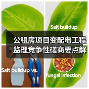 公租房项目变配电工程监理竞争性磋商要点解析(图1) 公租房项目变配电工程监理竞争性磋商要点解析(图1)