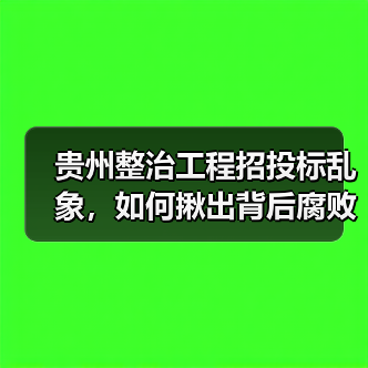 贵州整治工程招投标乱象,如何揪出背后腐败?(图1) 贵州整治工程招投标乱象,如何揪出背后腐败?(图1)